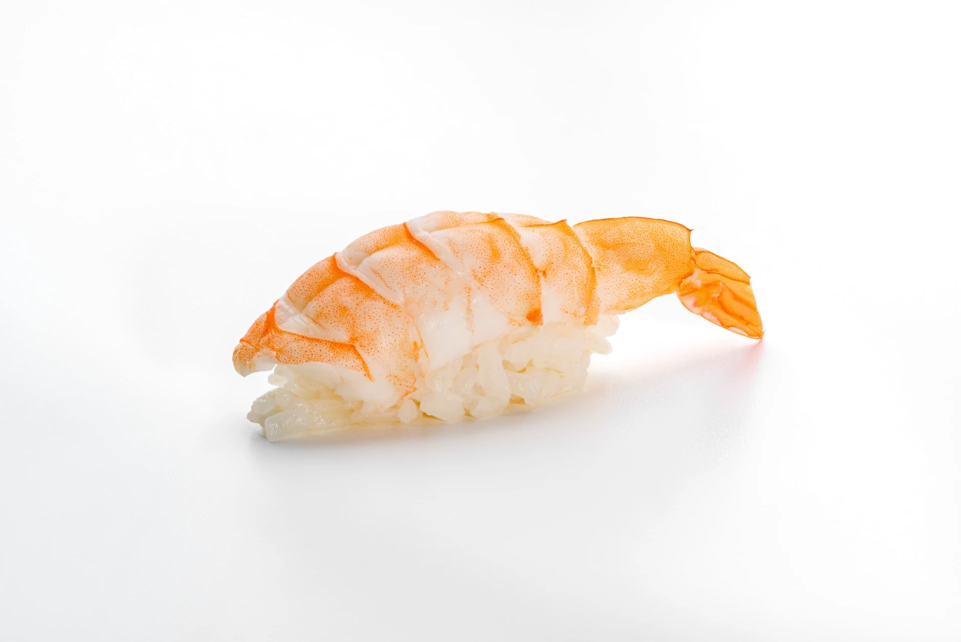 Krevetka nigiri